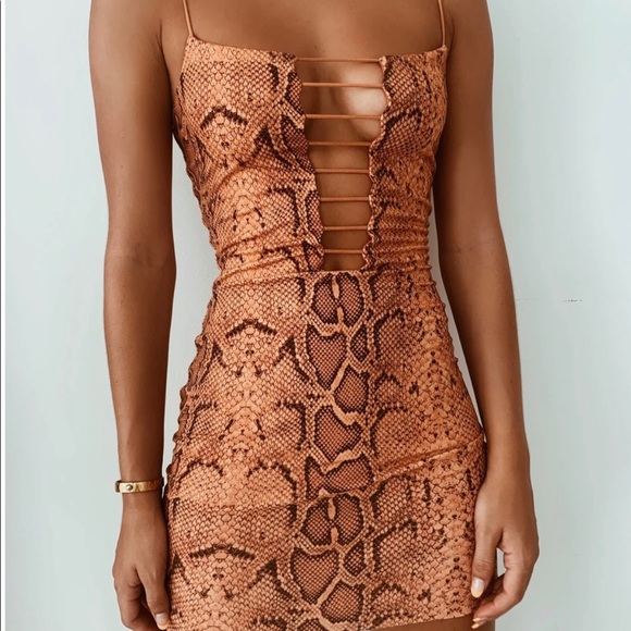 tiger mist snakeskin print dress (xxs) - Picture 2 of 3